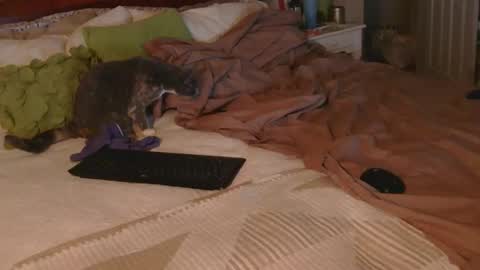 Snapshot of dildosnme22 chatting on 12/18/25, 09:15 dildosnme22 online show from 12/18/25, 09:15