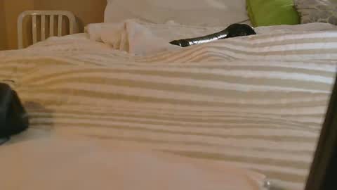 Snapshot of dildosnme22 chatting on 02/09/26, 11:14 dildosnme22 online show from 02/09/26, 11:14