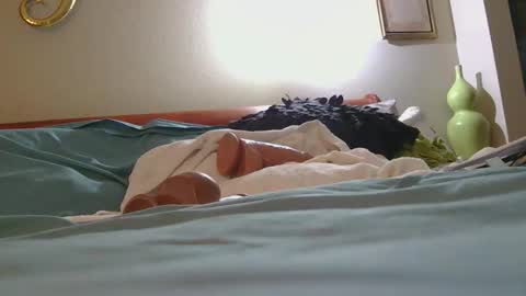 Snapshot of dildosnme22 chatting on 02/10/26, 02:48 dildosnme22 online show from 02/10/26, 02:48