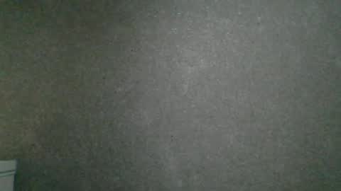 Snapshot of dimasvit5306 chatting on 06/13/26, 07:34 dimasvit5306 online show from 06/13/26, 07:34