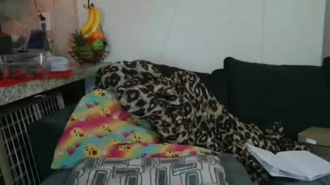 Sofie online show from 11/25/25, 05:35