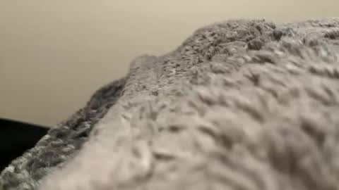 dino202310 online show from 10/29/25, 02:58