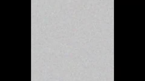 Dirk Diggler online show from 12/02/24, 05:37