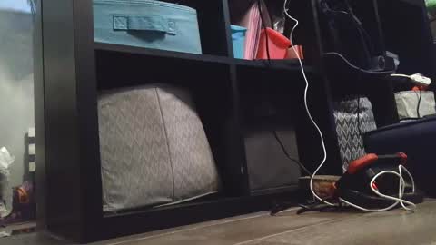 Snapshot of dirtydaisy1998 chatting on 12/27/24, 11:21 Daisy Wylde online show from 12/27/24, 11:21