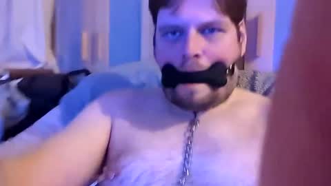 Snapshot of dirtydogsday chatting on 02/26/25, 10:53 Dirtydog online show from 02/26/25, 10:53