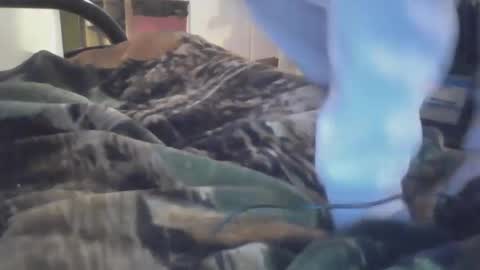 Snapshot of dirtynerdy30 chatting on 01/18/25, 10:17 Dirtynerdy online show from 01/18/25, 10:17