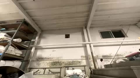 Snapshot of dishtv4all chatting on 10/27/25, 03:21 sexyguy online show from 10/27/25, 03:21