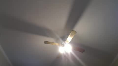 Your Best Worst Nightmare online show from 12/16/24, 08:37