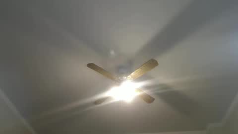 Your Best Worst Nightmare online show from 01/12/25, 04:52