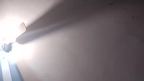 Snapshot of dixonbird41 chatting on 02/25/25, 06:20 dixonbird41 online show from 02/25/25, 06:20