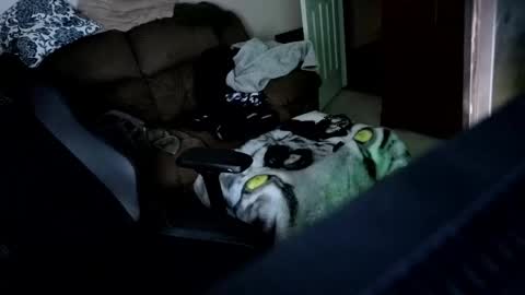 Hansel and Gretle online show from 04/21/26, 11:51