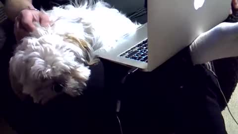 DKdad online show from 12/04/25, 03:43