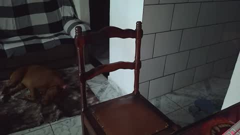 AmigodotadoZL online show from 04/25/26, 08:06