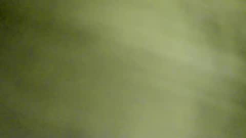 Doby online show from 03/05/26, 11:56