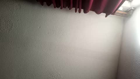 MrPepino online show from 12/15/24, 02:16