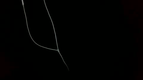 doctor_luv_69 online show from 01/01/25, 09:20