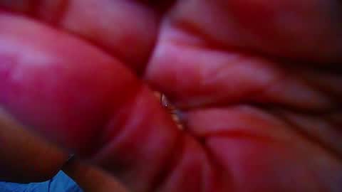  KRISTAL  online show from 03/07/25, 06:24