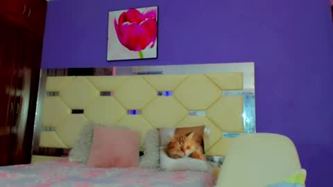 dollcute_latin online show from 04/15/26, 09:16