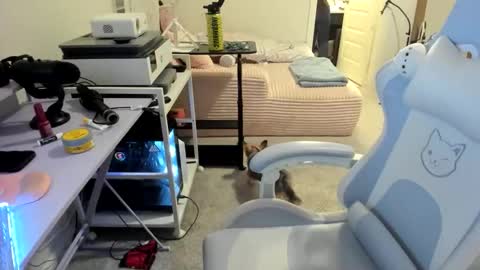 DOLLLFACE online show from 03/22/26, 01:53