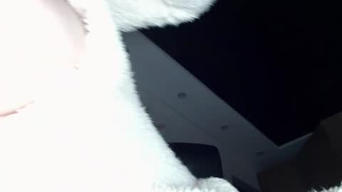 ILONA online show from 12/20/24, 11:54