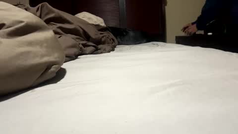 Ben Dover online show from 01/17/25, 09:17