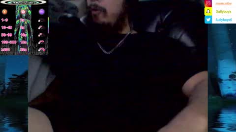 Snapshot of domanarchist chatting on 02/04/25, 06:46 Sullyboyx online show from 02/04/25, 06:46