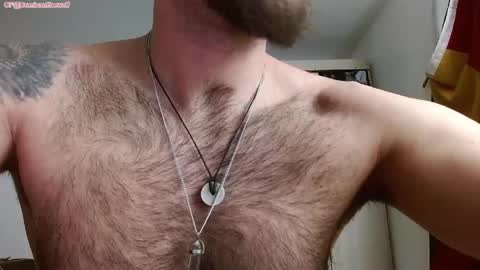 Logan - INDEPENDET MODEL online show from 04/23/26, 12:29