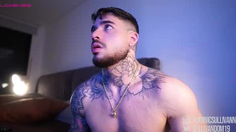 Snapshot of dominic_sullivan1 chatting on 11/23/25, 01:49 Dominic Sullivan online show from 11/23/25, 01:49