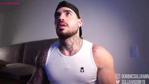 Snapshot of dominic_sullivan1 chatting on 12/03/25, 02:52 Dominic Sullivan online show from 12/03/25, 02:52