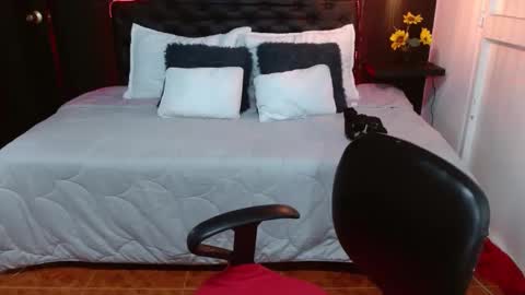  D O M I N K  online show from 02/24/25, 03:23