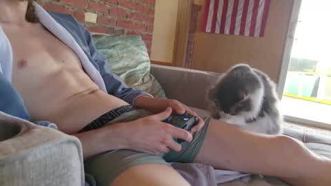 dommepleasemistress online show from 02/21/26, 07:26