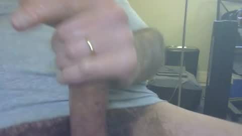 don_quixote3 online show from 04/04/26, 04:48