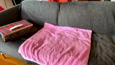 Alfredo online show from 04/06/26, 09:21