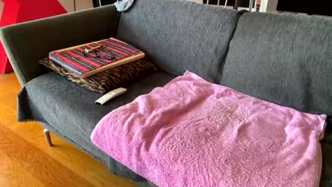 Alfredo online show from 04/07/26, 10:37