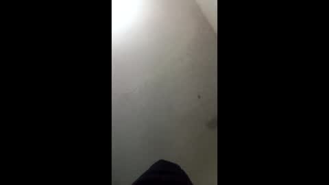 donkeykong34418301 online show from 03/03/26, 06:08