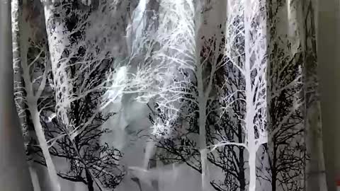 donschlongs online show from 12/28/24, 07:01