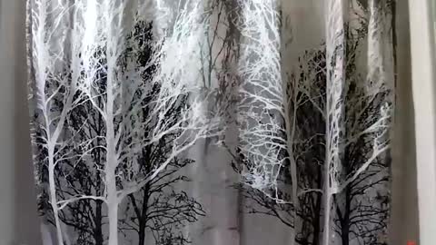 donschlongs online show from 01/21/25, 08:00