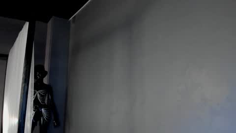 Dorothy Next stream on Monday at 3am-9am online show from 03/06/25, 12:52