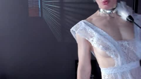 Dorothy Next stream on Monday at 3am-9am online show from 04/18/26, 09:04