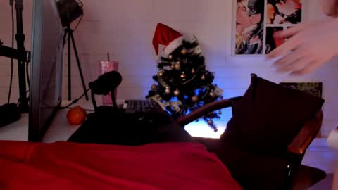 Snapshot of dorothygilbert chatting on 12/14/24, 03:36 Next stream November 24 online show from 12/14/24, 03:36