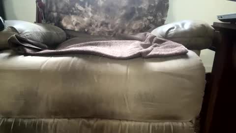 Snapshot of dotcom0063 chatting on 11/15/25, 06:26 dotcom0062 online show from 11/15/25, 06:26