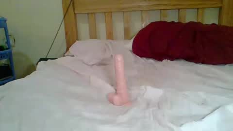 Snapshot of dottletop chatting on 02/05/25, 08:21 dottletop online show from 02/05/25, 08:21