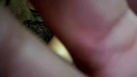 dove_love22 online show from 11/21/25, 02:43