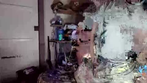 MrPirated online show from 04/08/26, 11:32