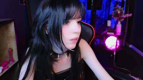 Draculaura online show from 01/29/25, 06:39