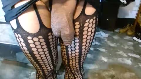 dreamreal online show from 03/26/26, 12:44