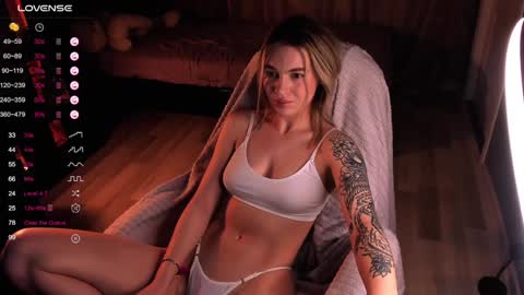 Snapshot of dreamaise chatting on 12/13/24, 10:51  Mary   pvt open    use pink and blue app lovense online show from 12/13/24, 10:51