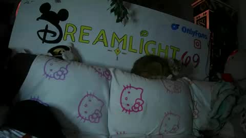 Snapshot of dreamlight69 chatting on 01/26/25, 07:53 Dreamlight online show from 01/26/25, 07:53
