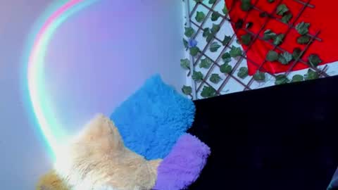 Dreyk online show from 07/26/26, 09:32