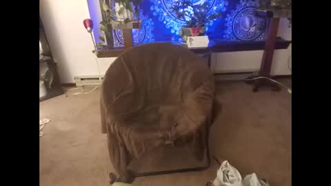 Snapshot of dribblez420 chatting on 10/26/25, 03:12 dribblez420 online show from 10/26/25, 03:12